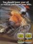 Page: - 117 | Cycle World