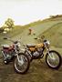 Page: - 8 | Cycle World