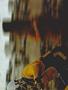 Page: - 147 | Cycle World