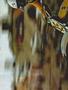 Page: - 147D | Cycle World