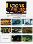 Page: - 147 | Cycle World