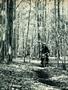 Page: - 106 | Cycle World