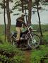 Page: - 12 | Cycle World