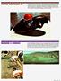 Page: - 77 | Cycle World