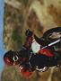 Page: - 20 | Cycle World