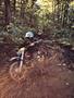 Page: - 71 | Cycle World