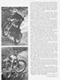Page: - 19 | Cycle World