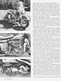 Page: - 28 | Cycle World