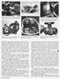 Page: - 48 | Cycle World