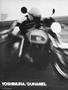 Page: - 36 | Cycle World