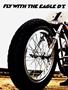Page: - 8 | Cycle World
