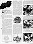 Page: - 83 | Cycle World