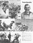 Page: - 82 | Cycle World