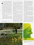 Page: - 55 | Cycle World