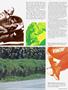 Page: - 57 | Cycle World
