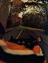 Page: - 54 | Cycle World