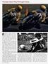 Page: - 60 | Cycle World