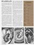 Page: - 54 | Cycle World