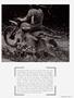 Page: - 71 | Cycle World