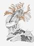 Page: - 91 | Cycle World