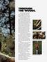 Page: - 61 | Cycle World