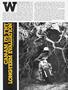 Page: - 81 | Cycle World