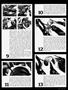 Page: - 83 | Cycle World