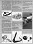 Page: - 38 | Cycle World