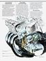 Page: - 108 | Cycle World