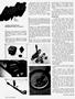 Page: - 64 | Cycle World