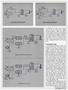 Page: - 43 | Cycle World