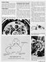 Page: - 33 | Cycle World