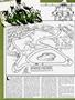 Page: - 52 | Cycle World
