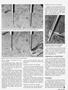 Page: - 57 | Cycle World