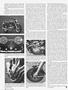 Page: - 46 | Cycle World