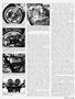 Page: - 81 | Cycle World