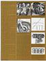 Page: - 60 | Cycle World