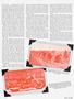 Page: - 61 | Cycle World