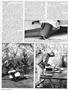 Page: - 124 | Cycle World