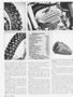 Page: - 82 | Cycle World