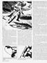Page: - 34 | Cycle World