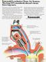 Page: - 57 | Cycle World
