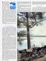 Page: - 44 | Cycle World