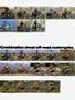Page: - 97 | Cycle World