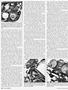 Page: - 32 | Cycle World