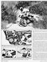 Page: - 42 | Cycle World