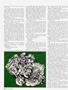 Page: - 28 | Cycle World