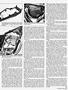 Page: - 39 | Cycle World