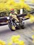 Page: - 53 | Cycle World
