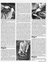 Page: - 35 | Cycle World